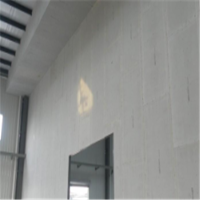 双流宁波ALC板|EPS加气板隔墙与混凝土整浇联接的实验研讨